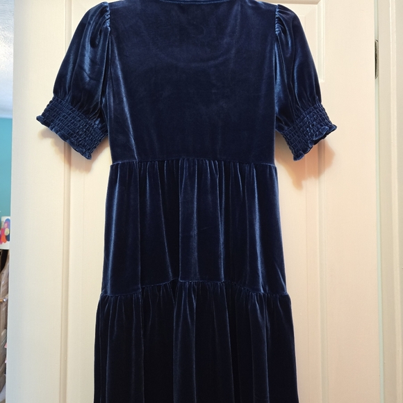 Draper James blue velvet babydoll dress - Picture 3 of 3